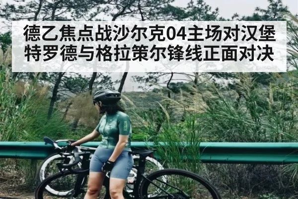 德乙焦点战沙尔克04主场对汉堡 特罗德与格拉策尔锋线正面对决